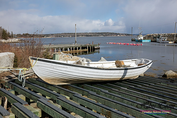AspotogenPeninsula1002
