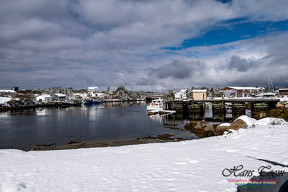 April Snow in Nova Scotia 205