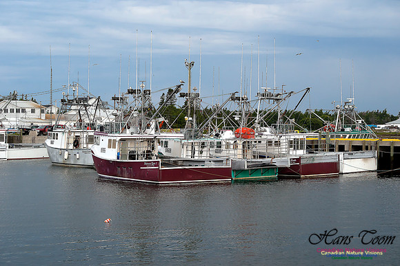 Dennis Point Fishing Fleet