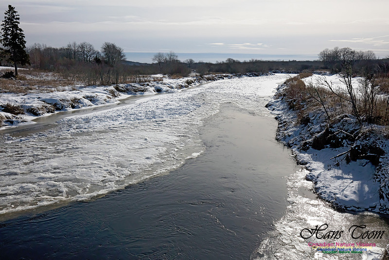 MusquodoboitRiver1001