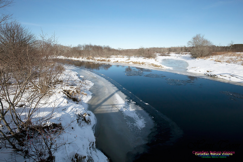 MusquodoboitRiver1002