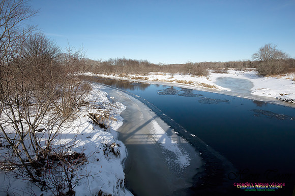 MusquodoboitRiver1003