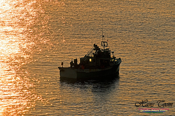 Long Lining at Chebucto Head