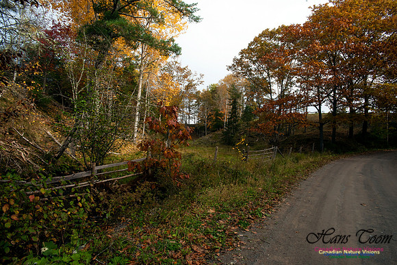 West Hants County Fall Colours