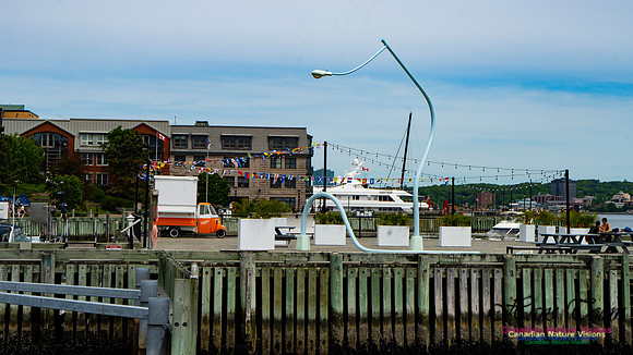 Halifax Waterfront Stroll 118