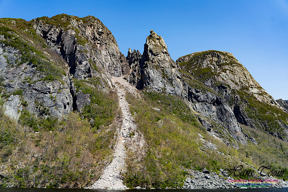 Western Brook Pond 153(the tin man)
