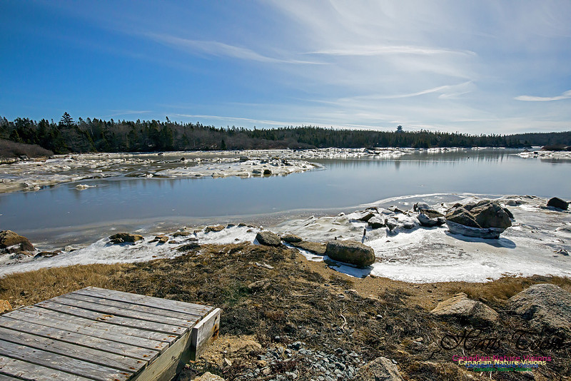 ChebuctoPeninsula1010