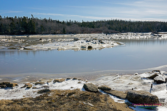 ChebuctoPeninsula1011