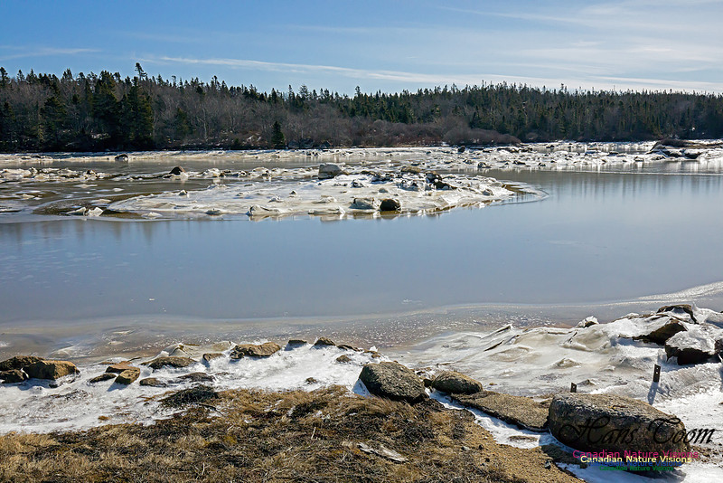 ChebuctoPeninsula1011