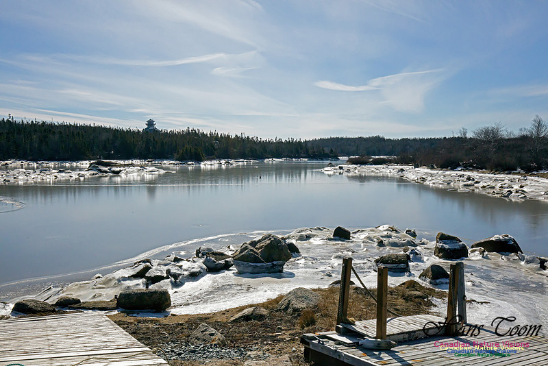 ChebuctoPeninsula1012