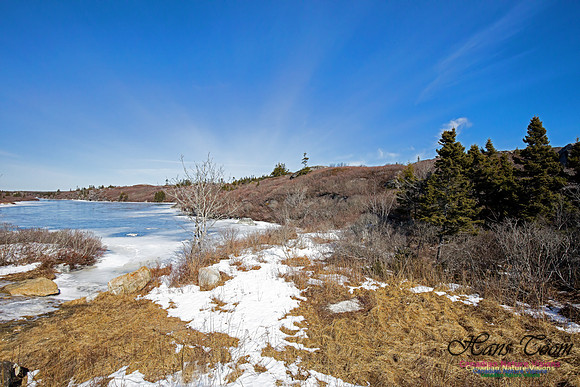 ChebuctoPeninsula1018