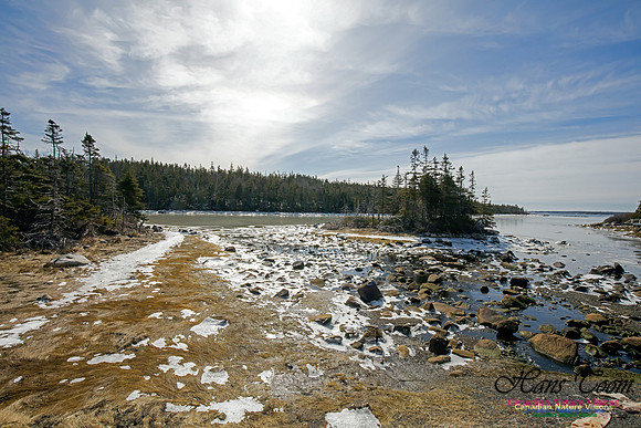 ChebuctoPeninsula1000