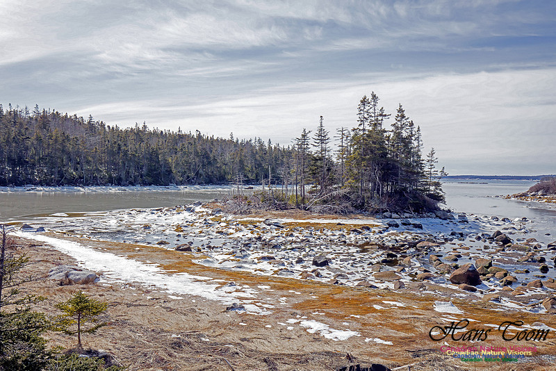 ChebuctoPeninsula1002