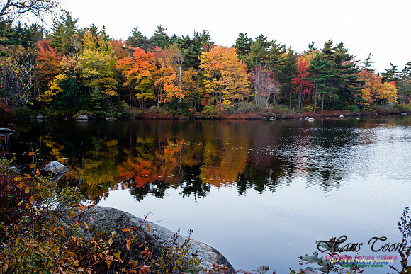 Sir Sanford Fleming Park