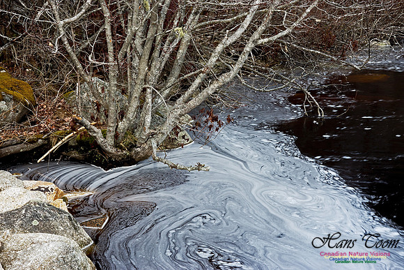 Pennant River