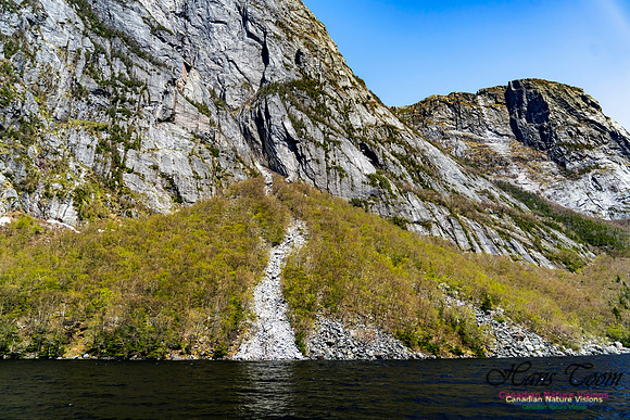 Western Brook Pond 198