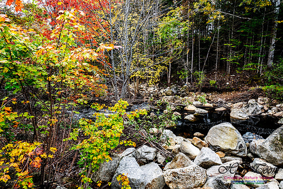 More Early Fall Photos in Nova Scotia 202