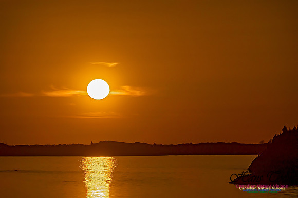 West Pennant Sunset 102