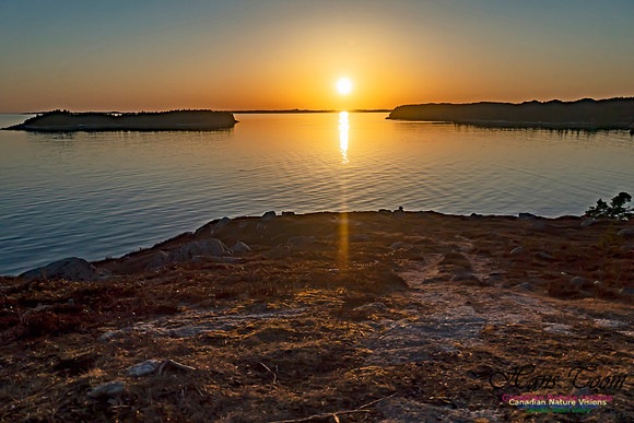 West Pennant Sunset 105