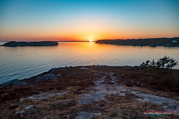 West Pennant Sunset 101