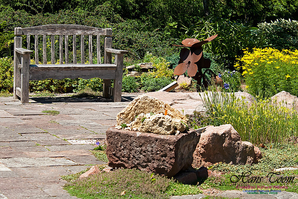 Rock Garden at Agricultural College