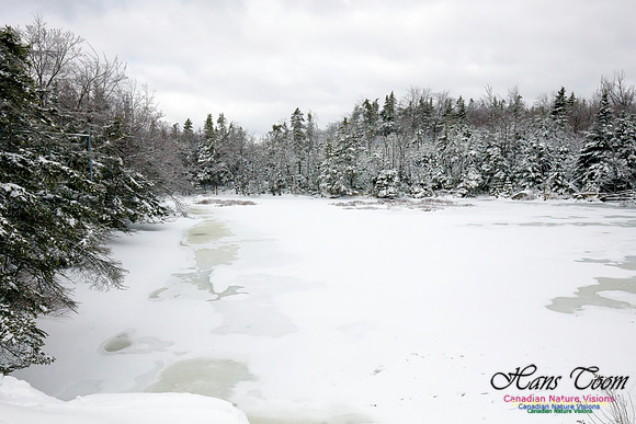 Chebucto Peninsula Early Spring Snow Storm (1)