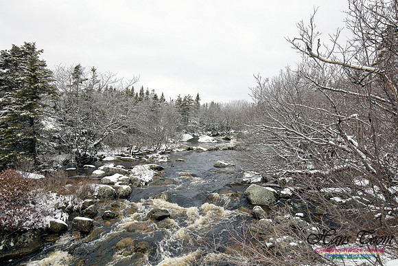 Chebucto Peninsula Early Spring Snow Storm (58)
