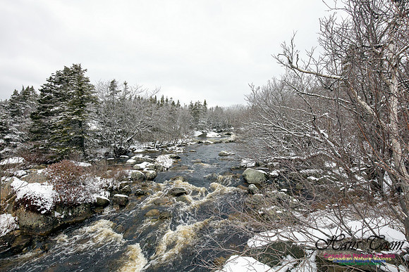 Chebucto Peninsula Early Spring Snow Storm (59)
