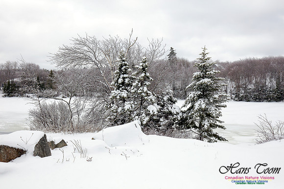 Chebucto Peninsula Early Spring Snow Storm (4)