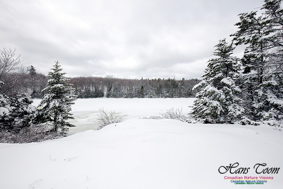 Chebucto Peninsula Early Spring Snow Storm (5)