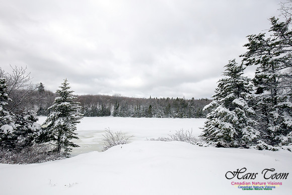 Chebucto Peninsula Early Spring Snow Storm (6)