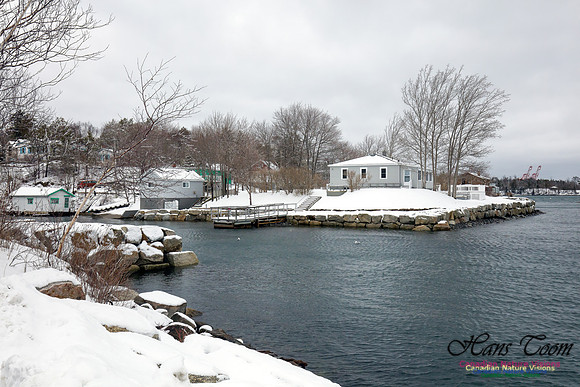 Chebucto Peninsula Early Spring Snow Storm (12)