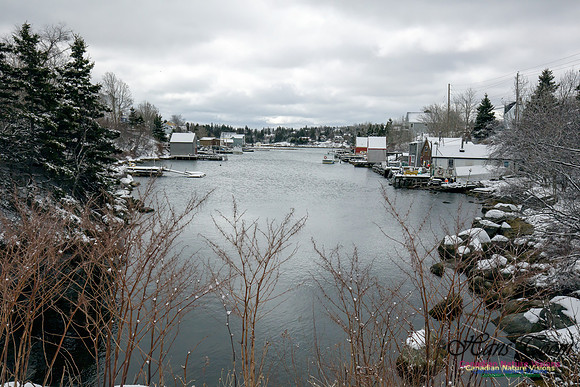 Chebucto Peninsula Early Spring Snow Storm (30)