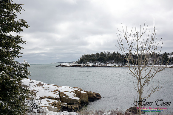 Chebucto Peninsula Early Spring Snow Storm (28)