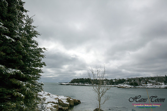 Chebucto Peninsula Early Spring Snow Storm (29)