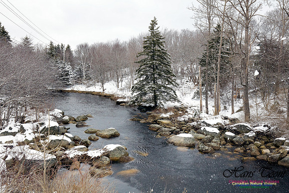 Chebucto Peninsula Early Spring Snow Storm (31)