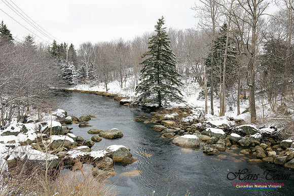 Chebucto Peninsula Early Spring Snow Storm (32)