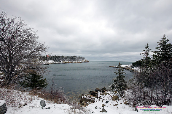 Chebucto Peninsula Early Spring Snow Storm (33)