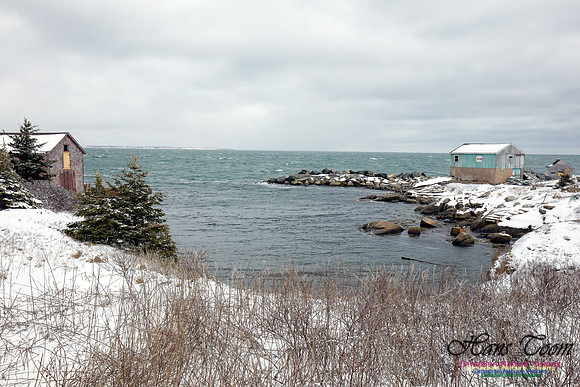 Chebucto Peninsula Early Spring Snow Storm (35)