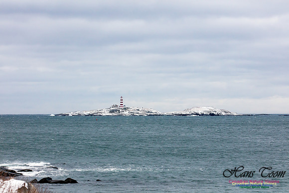 Chebucto Peninsula Early Spring Snow Storm (37)
