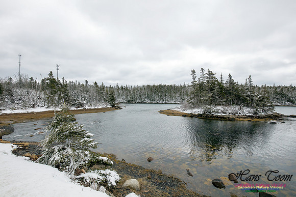 Chebucto Peninsula Early Spring Snow Storm (47)