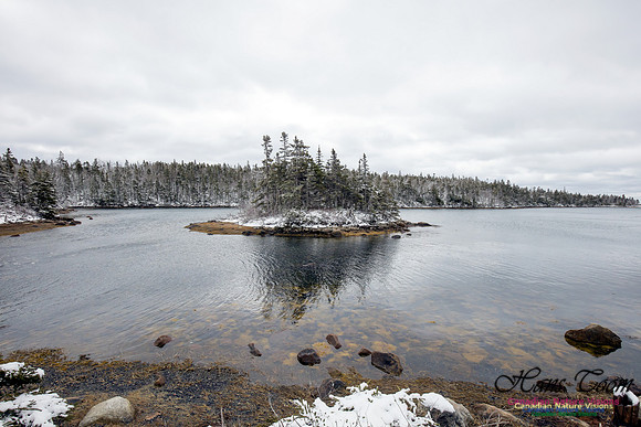 Chebucto Peninsula Early Spring Snow Storm (48)