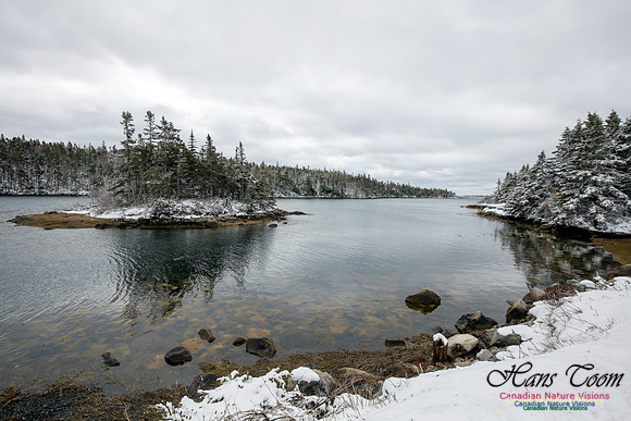 Chebucto Peninsula Early Spring Snow Storm (49)