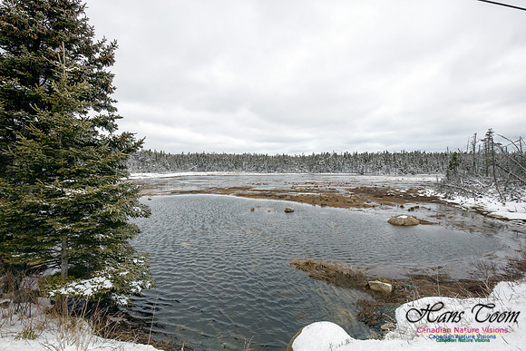 Chebucto Peninsula Early Spring Snow Storm (50)