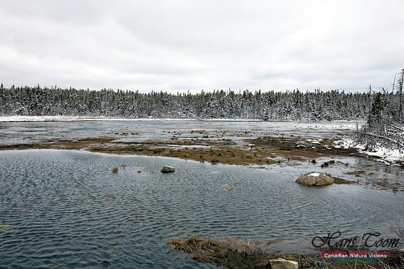 Chebucto Peninsula Early Spring Snow Storm (52)