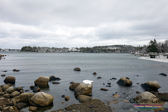 Chebucto Peninsula Early Spring Snow Storm (54)