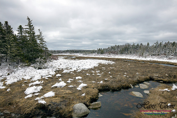 Chebucto Peninsula Early Spring Snow Storm (56)