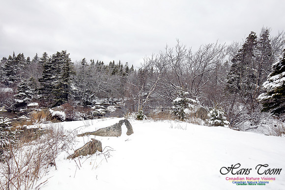 Chebucto Peninsula Early Spring Snow Storm (57)