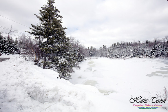 Chebucto Peninsula Early Spring Snow Storm (3)