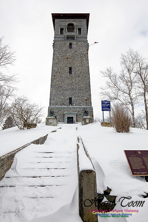 Chebucto Peninsula Early Spring Snow Storm (8)